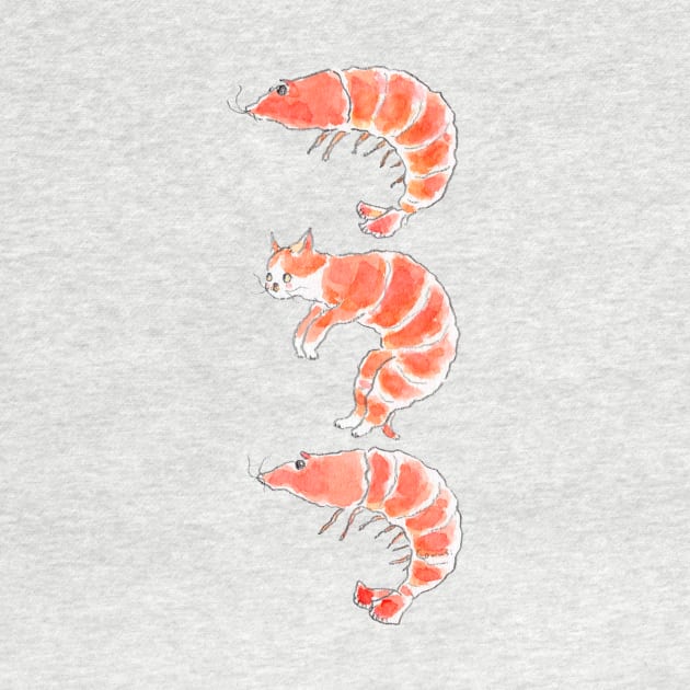 ShrimpCat by TOCOROCOMUGI